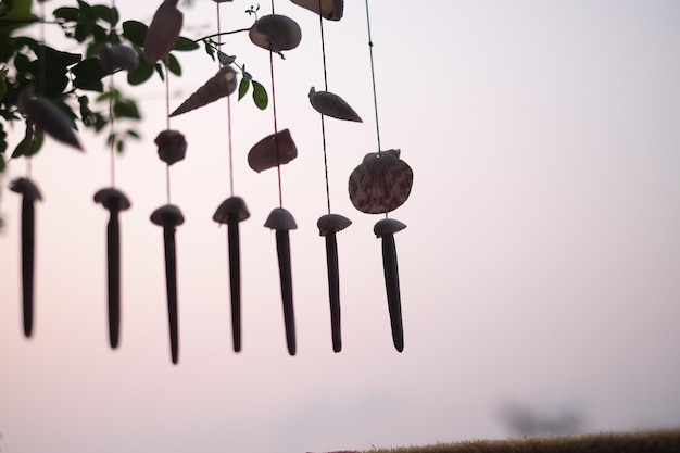 Photo low angle view of fruits hanging on tree against sky