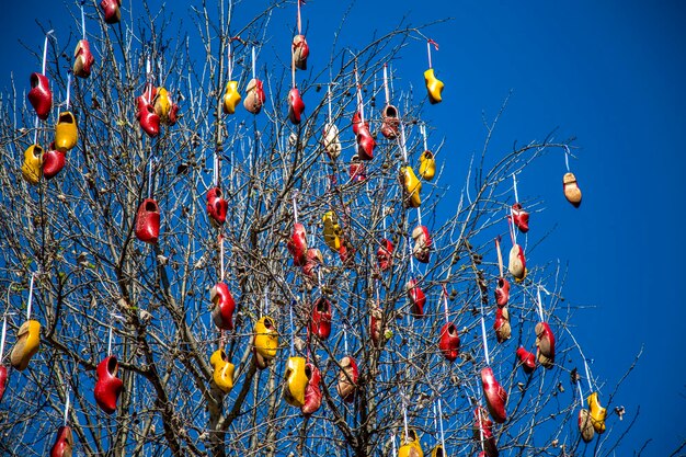 Low angle view of fruits on tree against clear blue sky