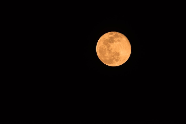 晴れた夜の空に照らされた満月を低角度で眺める