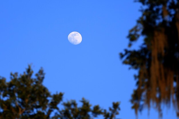 Low angle view of full moon against clear sky