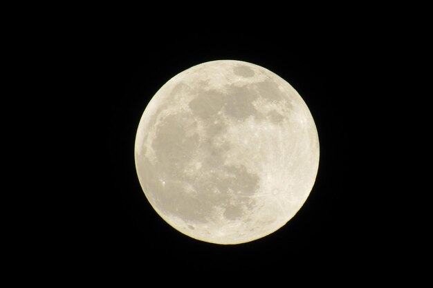 Foto vista a basso angolo della luna piena contro il cielo notturno