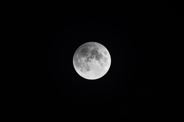 夜空を背景に満月を低角度で眺める