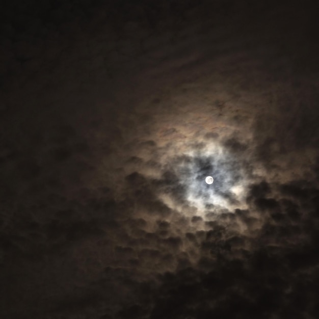 夜空の満月を低角度で見る