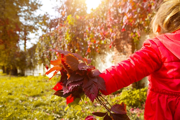 Low angle view of girl with autumn leaves