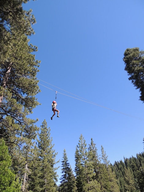 Low angle view of girl zip lining in forest against clear blue sky