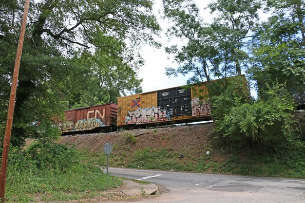 Photo low angle view of graffiti on freight train by trees