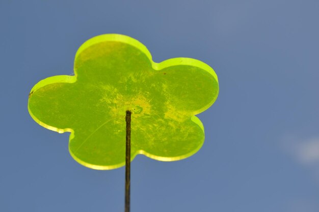 Foto vista a basso angolo della decorazione verde contro il cielo