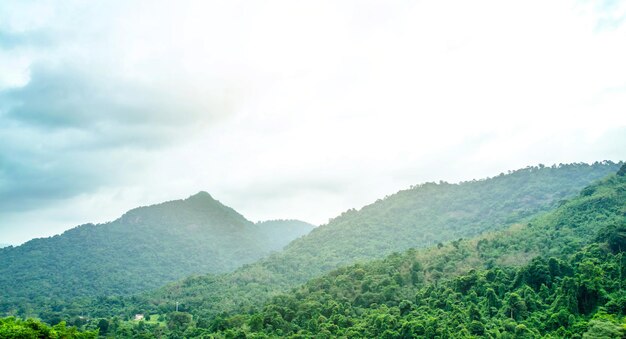 Low angle view of green landscape against sky