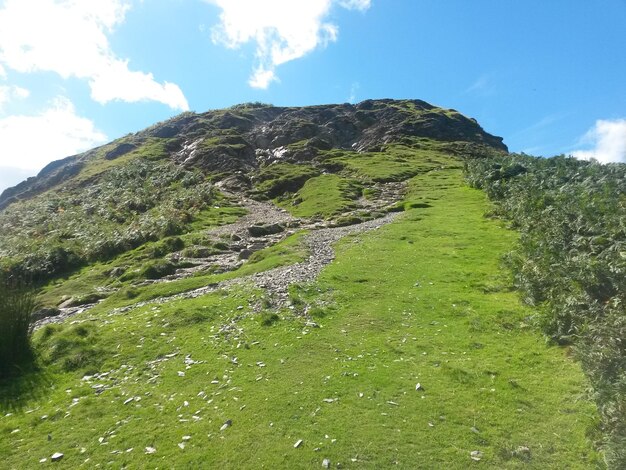 Low angle view of green landscape against sky