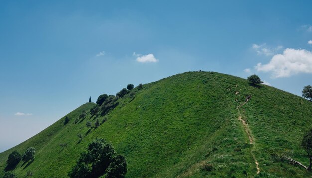 Low angle view of green mountain against sky