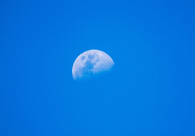 Low angle view of half moon against clear blue sky