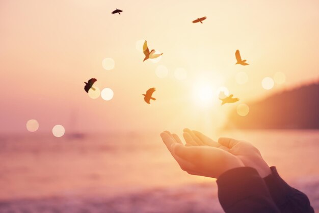 Low angle view of hand against sky during sunset