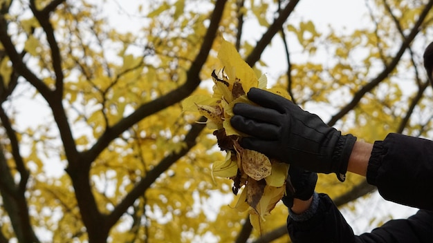 Vista a basso angolo della mano che tiene le foglie durante l'autunno