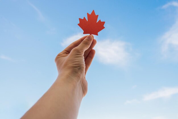 Low angle view of hand holding maple leaf against sky