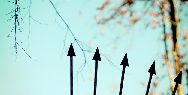 Photo low angle view of hanging lights against sky