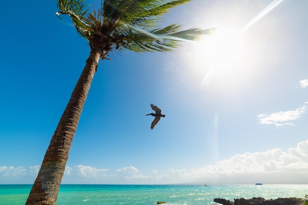 Photo low angle view of helicopter flying over sea against sky