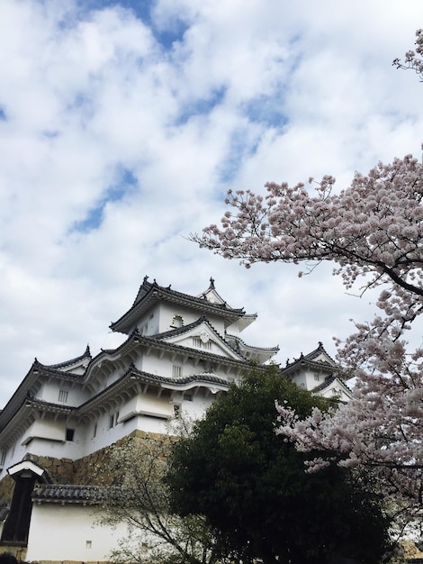 雲の空に照らされたヒメジ城の低角度の景色