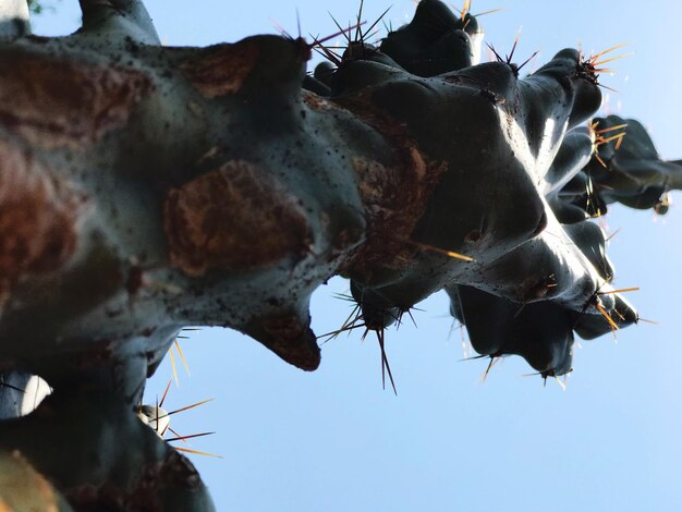 Low angle view of horse against sky