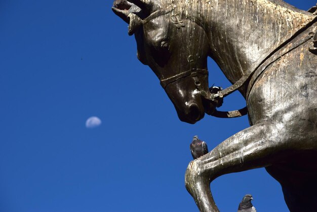 Foto vista a basso angolo della statua di cavallo contro un cielo blu chiaro durante una giornata di sole