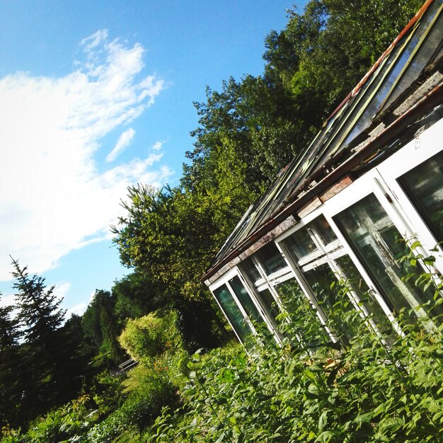 Foto vista a basso angolo della casa contro gli alberi