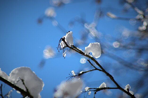 Low angle view of icicles against blue sky