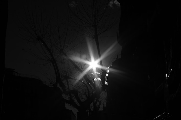 Low angle view of illuminated bare trees