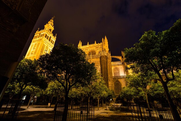 Foto vista ad angolo basso della cattedrale illuminata di notte