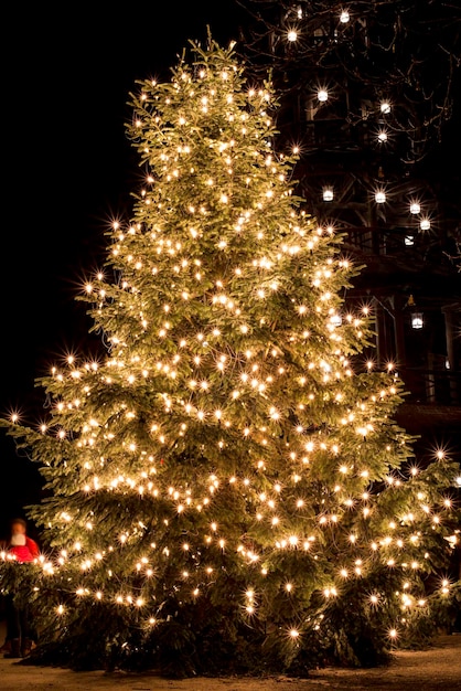 Foto vista ad angolo basso dell'albero di natale illuminato di notte