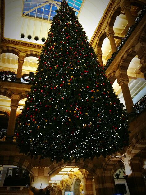 Photo low angle view of illuminated christmas tree at night