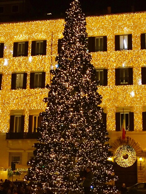 Low angle view of illuminated christmas tree