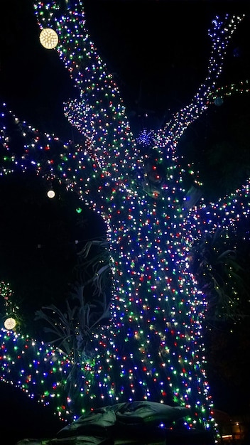 Foto vista ad angolo basso dell'albero di natale illuminato