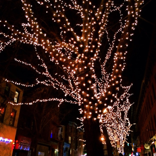 Low angle view of illuminated christmas tree