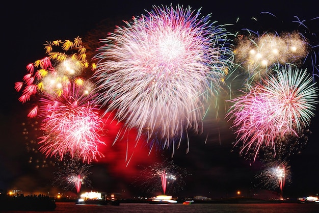 夜の空に照らされた湖上の花火の低角度の景色