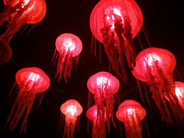 Low angle view of illuminated hanging lights in the dark