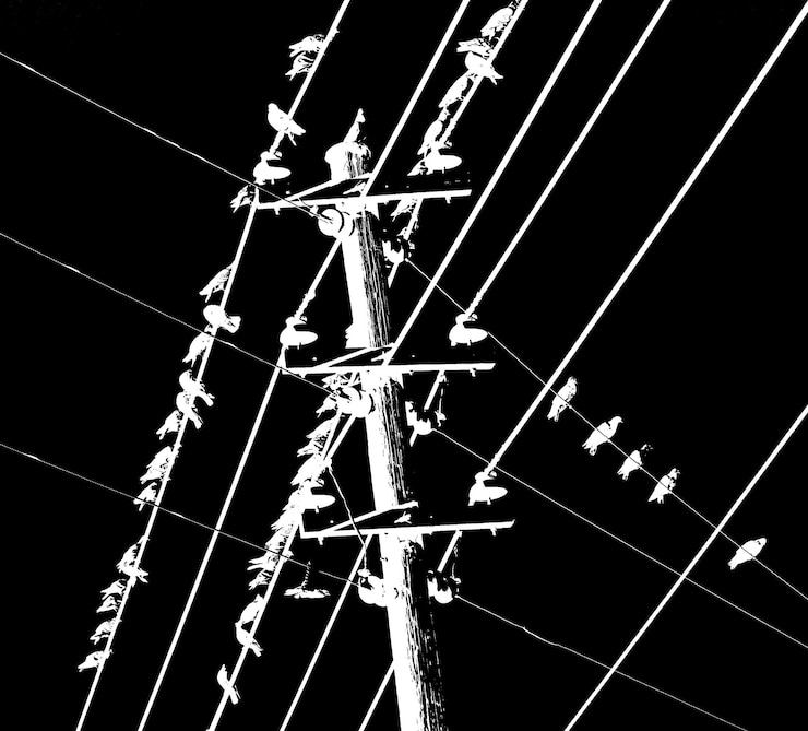 Photo low angle view of illuminated lamp post