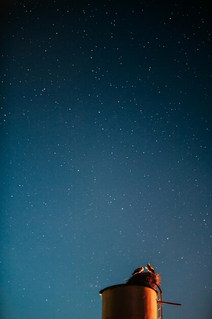 Photo low angle view of illuminated light against sky at night