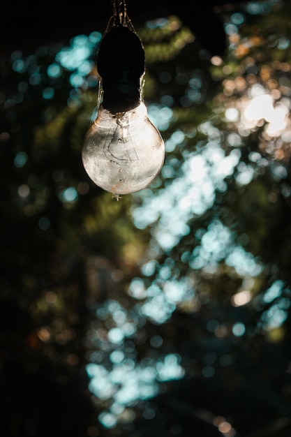 Foto vista ad angolo basso della lampadina illuminata