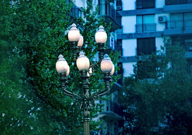 Low angle view of illuminated lighting equipment hanging by tree against building