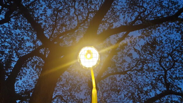 Photo low angle view of illuminated street light against trees at dusk