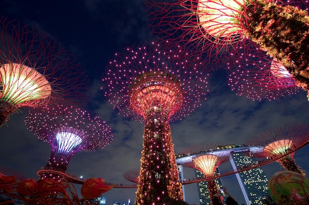 夜空に照らされたスーパーツリーを低角度で眺める