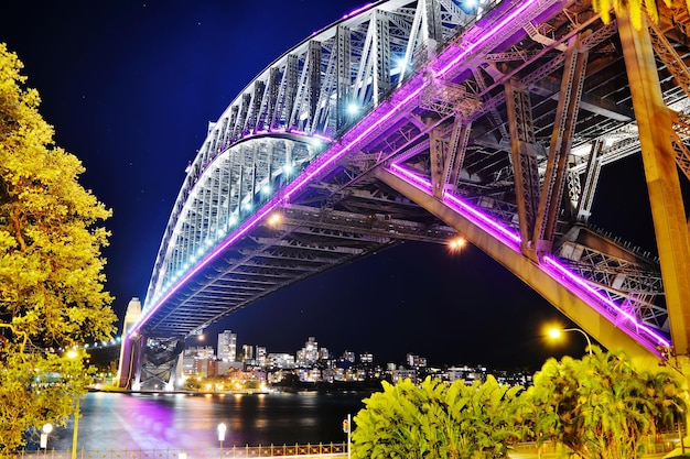 夜にオーストラリアのライトアップされた建物とシドニーの街並み