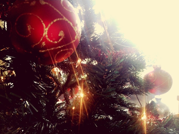 Photo low angle view of illuminated tree