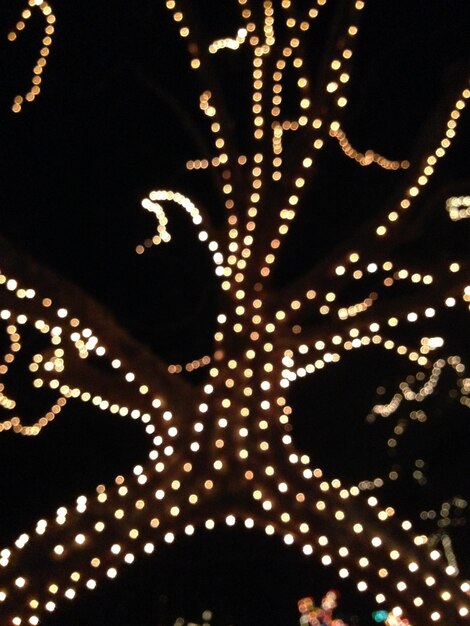 Photo low angle view of illuminated trees in the dark