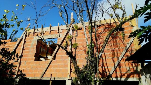 Low angle view of incomplete house building by trees