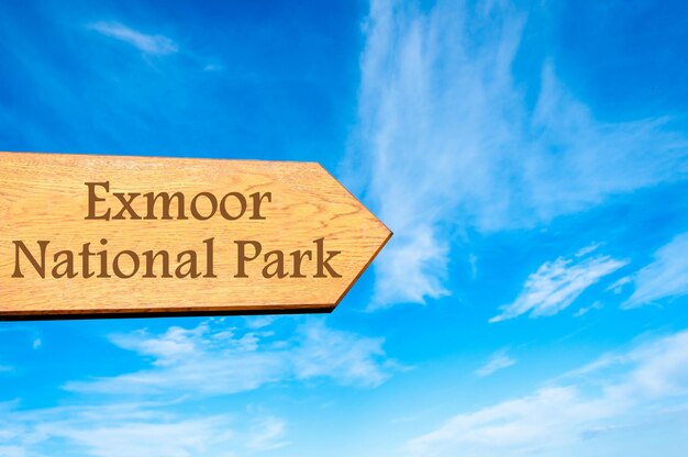 Low angle view of information sign against blue sky