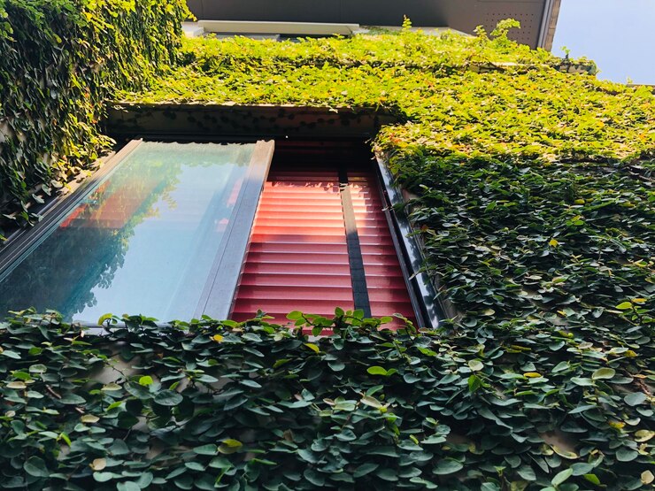 Photo low angle view of ivy growing on building