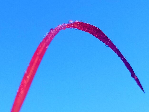 Low angle view of kite flying against clear blue sky