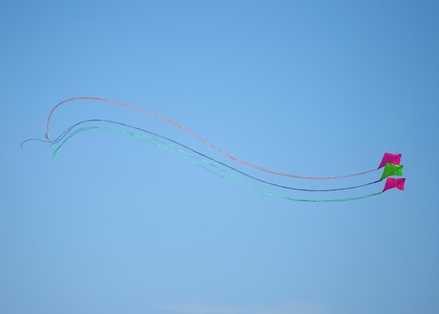 Foto vista a bassa angolazione di aquiloni che volano contro un cielo blu limpido