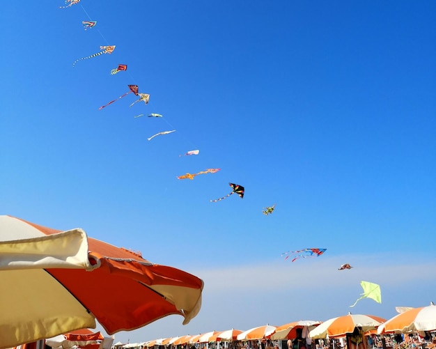 Low angle view of kites flying in sky