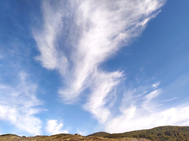 Photo 空に照らされた地面の低角度の景色